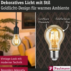 1879 Filament 230V - LED Birne E27