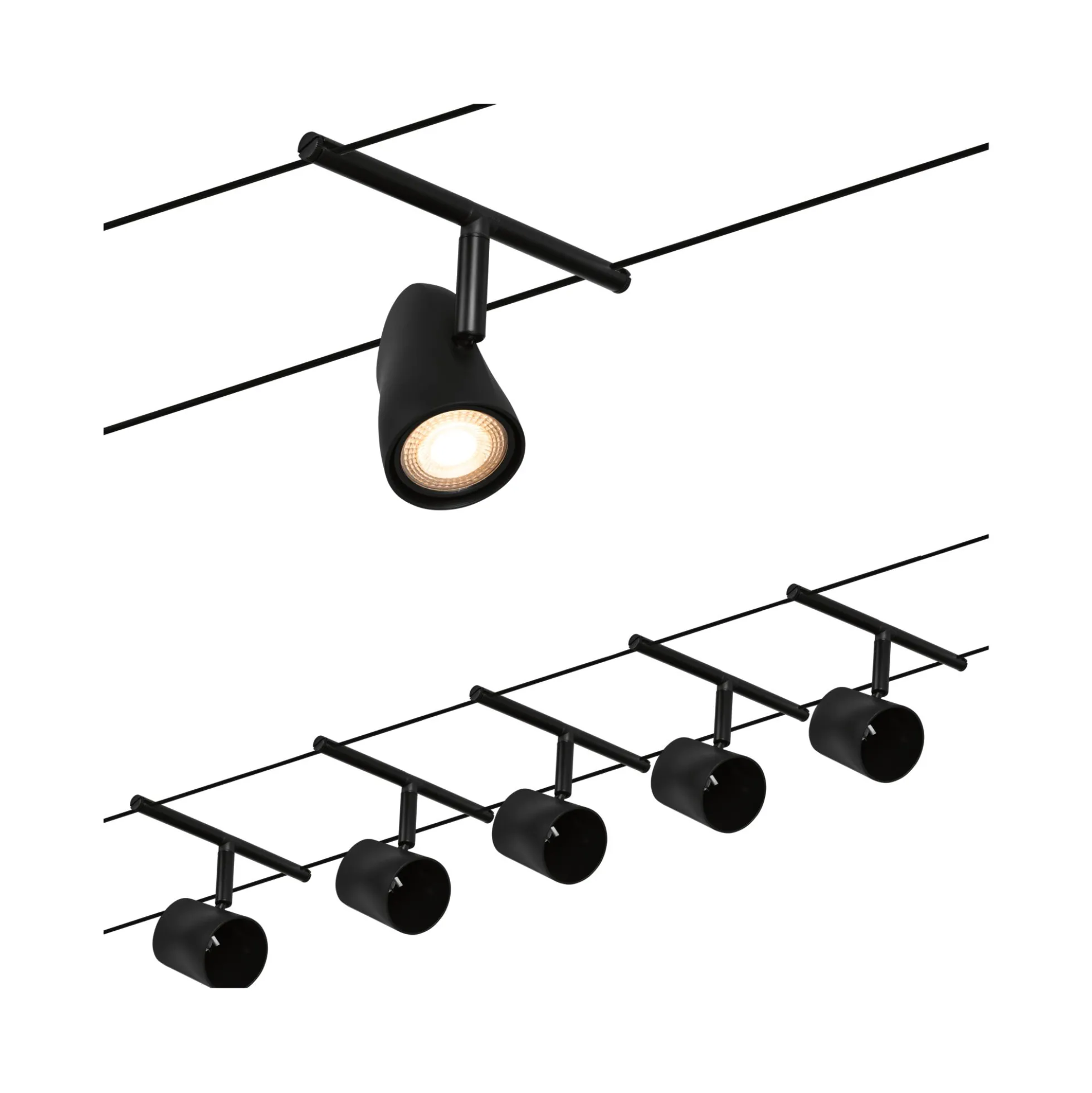 CorDuo Seilsystem - Cup Basisset