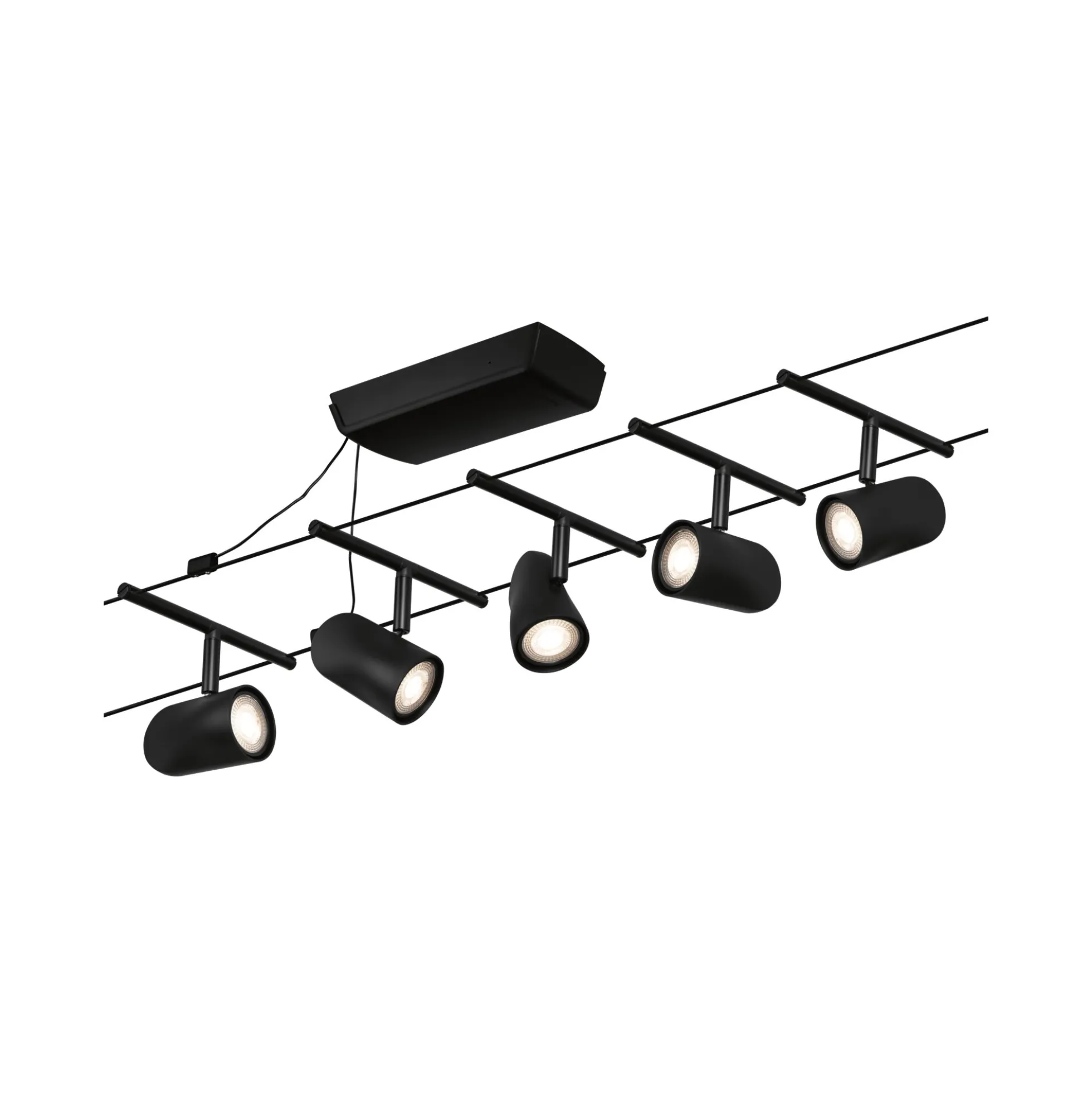 CorDuo Seilsystem - Cup Basisset