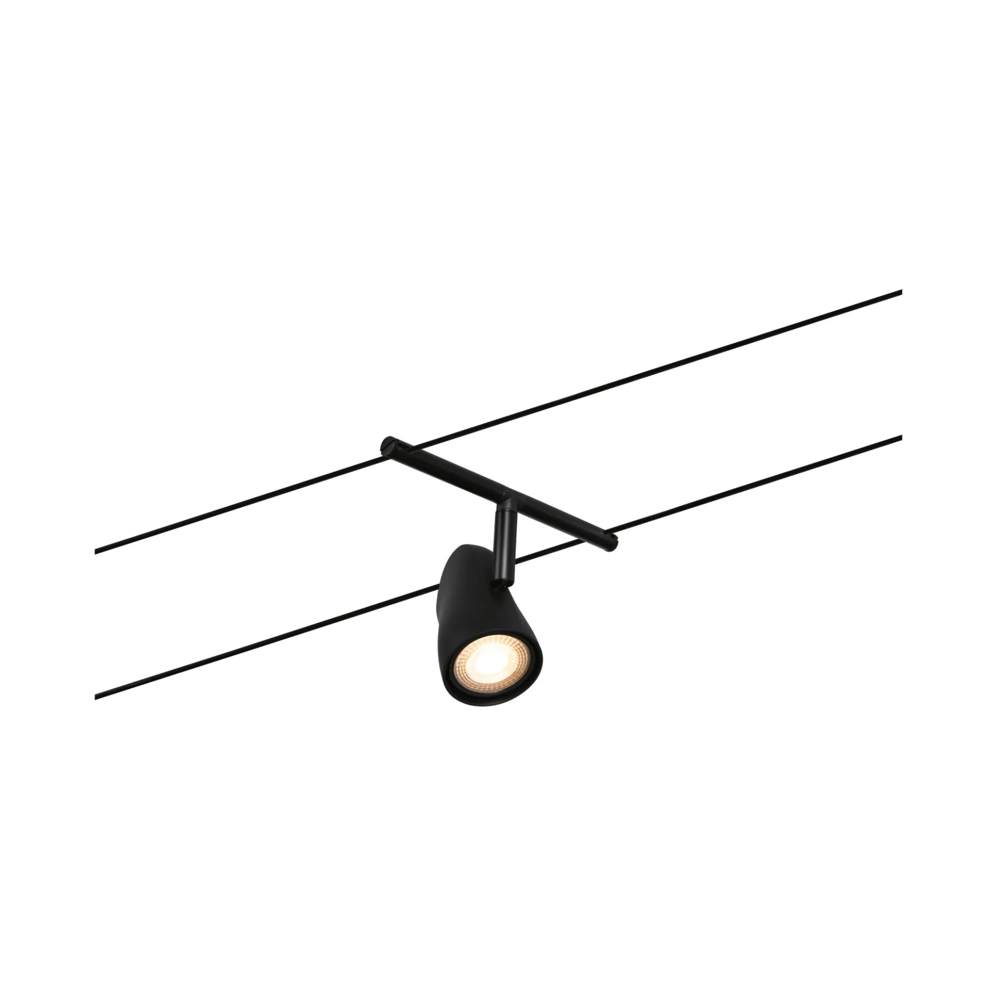 CorDuo Seilsystem - Cup Basisset