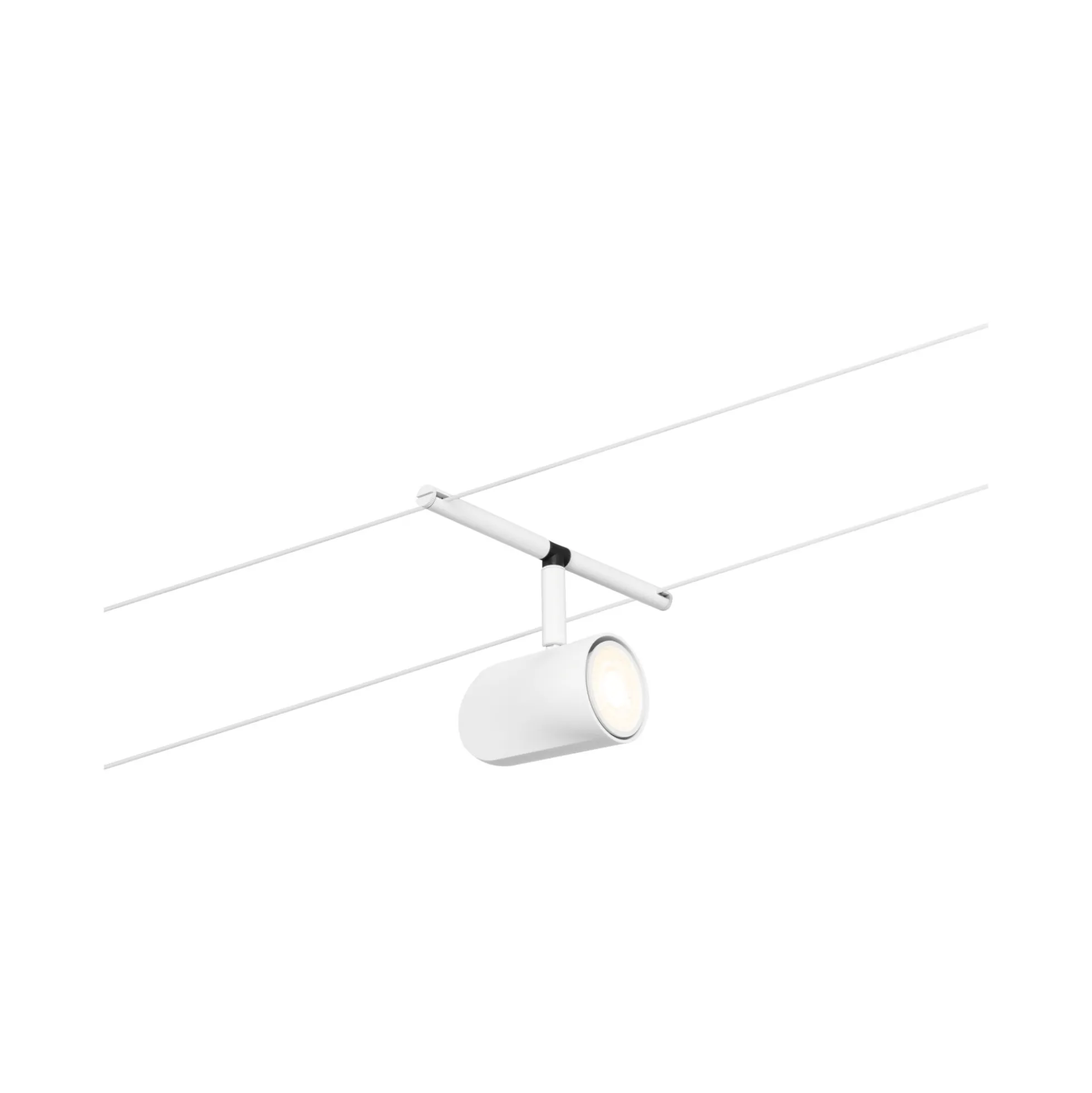 CorDuo Seilsystem - Cup Einzelspot