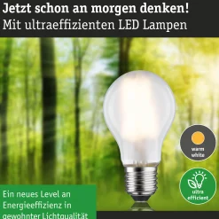 Efficient-Line Filament 230V - LED Birne Einzelleuchte