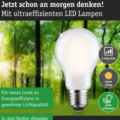 Efficient-Line Filament 230V - LED Birne Einzelleuchte