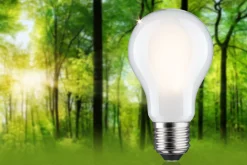 Efficient-Line Filament 230V - LED Birne Einzelleuchte