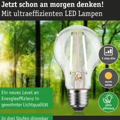 Efficient-Line Filament 230V - LED Birne Einzelleuchte