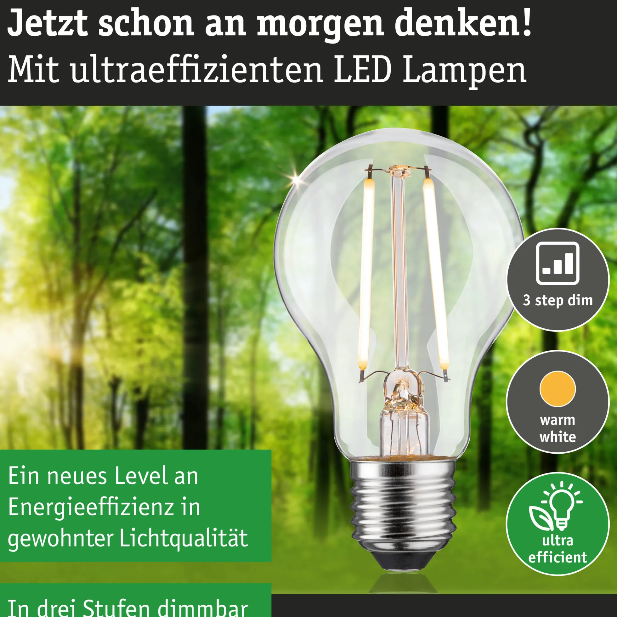 Efficient-Line Filament 230V - LED Birne Einzelleuchte