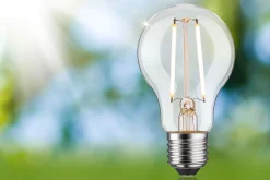 Efficient-Line Filament 230V - LED Birne Einzelleuchte