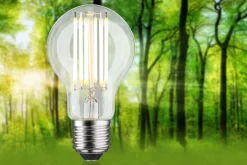 Efficient-Line Filament 230V - LED Birne Einzelleuchte