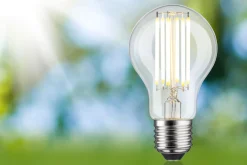 Efficient-Line Filament 230V - LED Birne Einzelleuchte