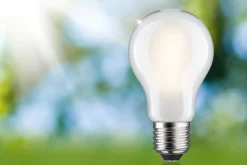 Efficient-Line Filament 230V - LED Birne Einzelleuchte