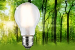 Efficient-Line Filament 230V - LED Birne Einzelleuchte