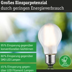 Efficient-Line Filament 230V - LED Birne Einzelleuchte