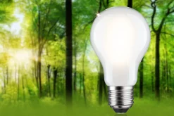 Efficient-Line Filament 230V - LED Birne Einzelleuchte
