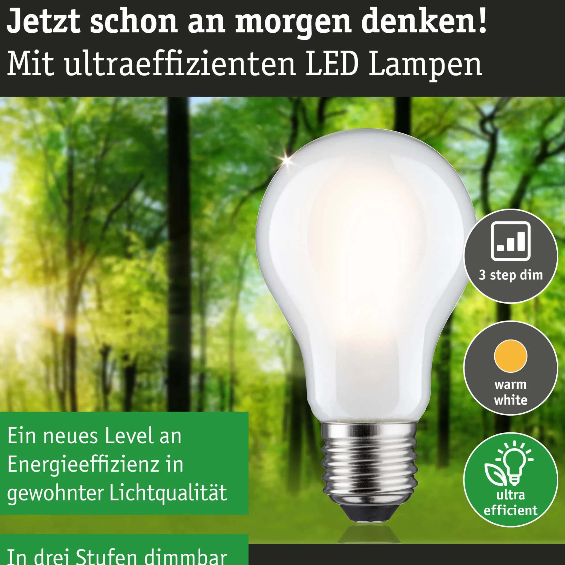 Efficient-Line Filament 230V - LED Birne Einzelleuchte