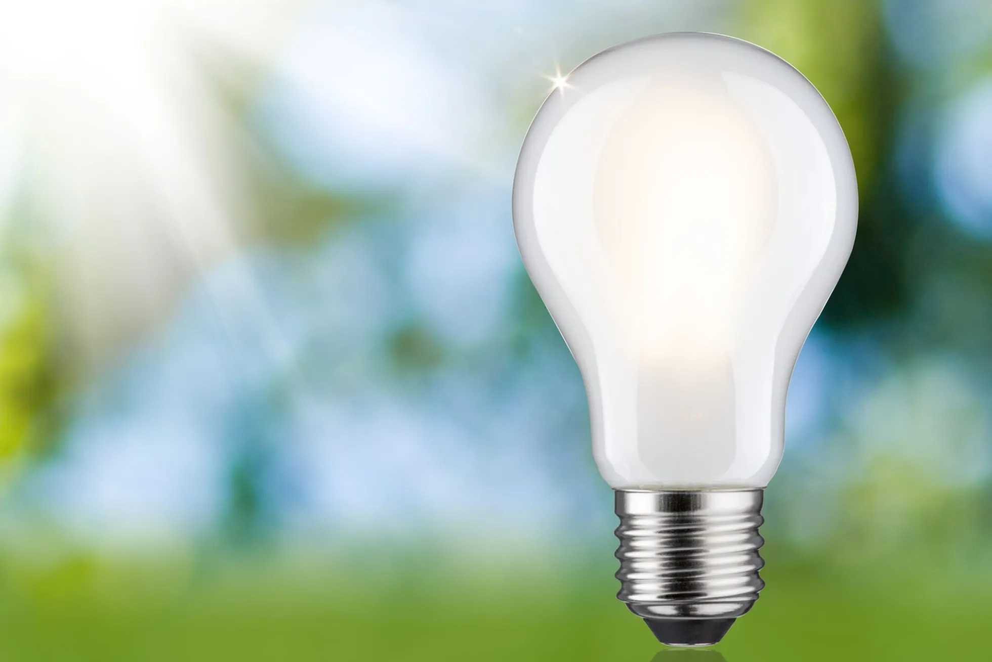 Efficient-Line Filament 230V - LED Birne Einzelleuchte