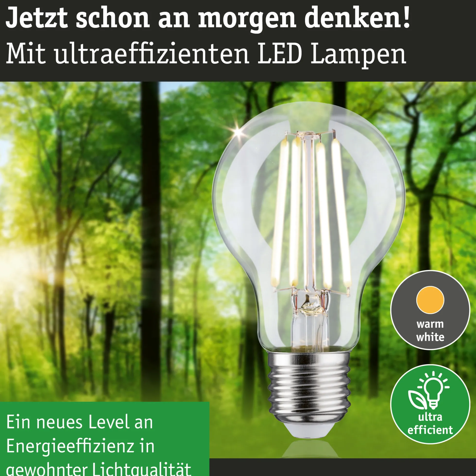 Efficient-Line Filament 230V - LED Birne 1er-Set