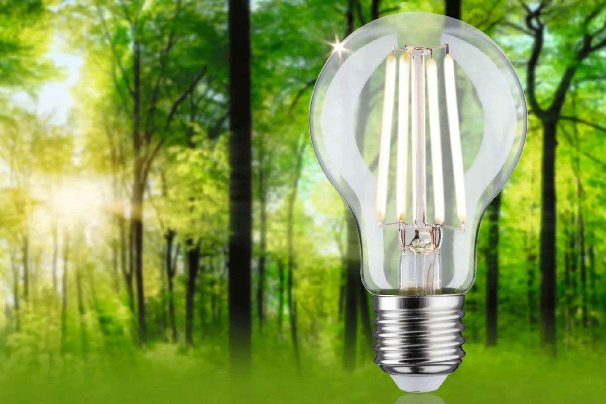 Efficient-Line Filament 230V - LED Birne 1er-Set