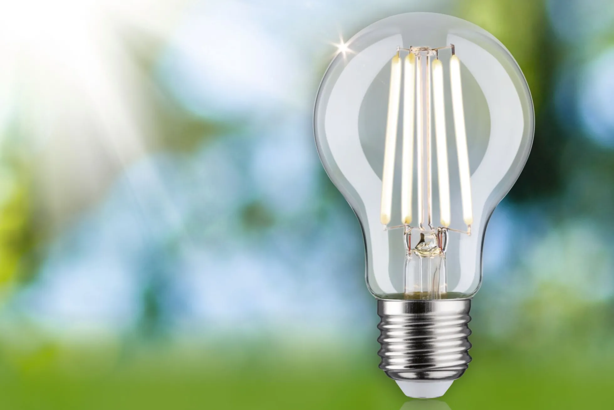 Efficient-Line Filament 230V - LED Birne 1er-Set