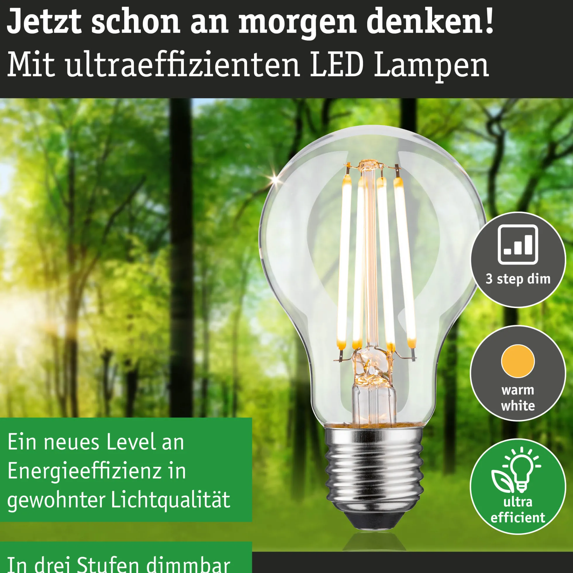 Efficient-Line Filament 230V - LED Birne Einzelleuchte