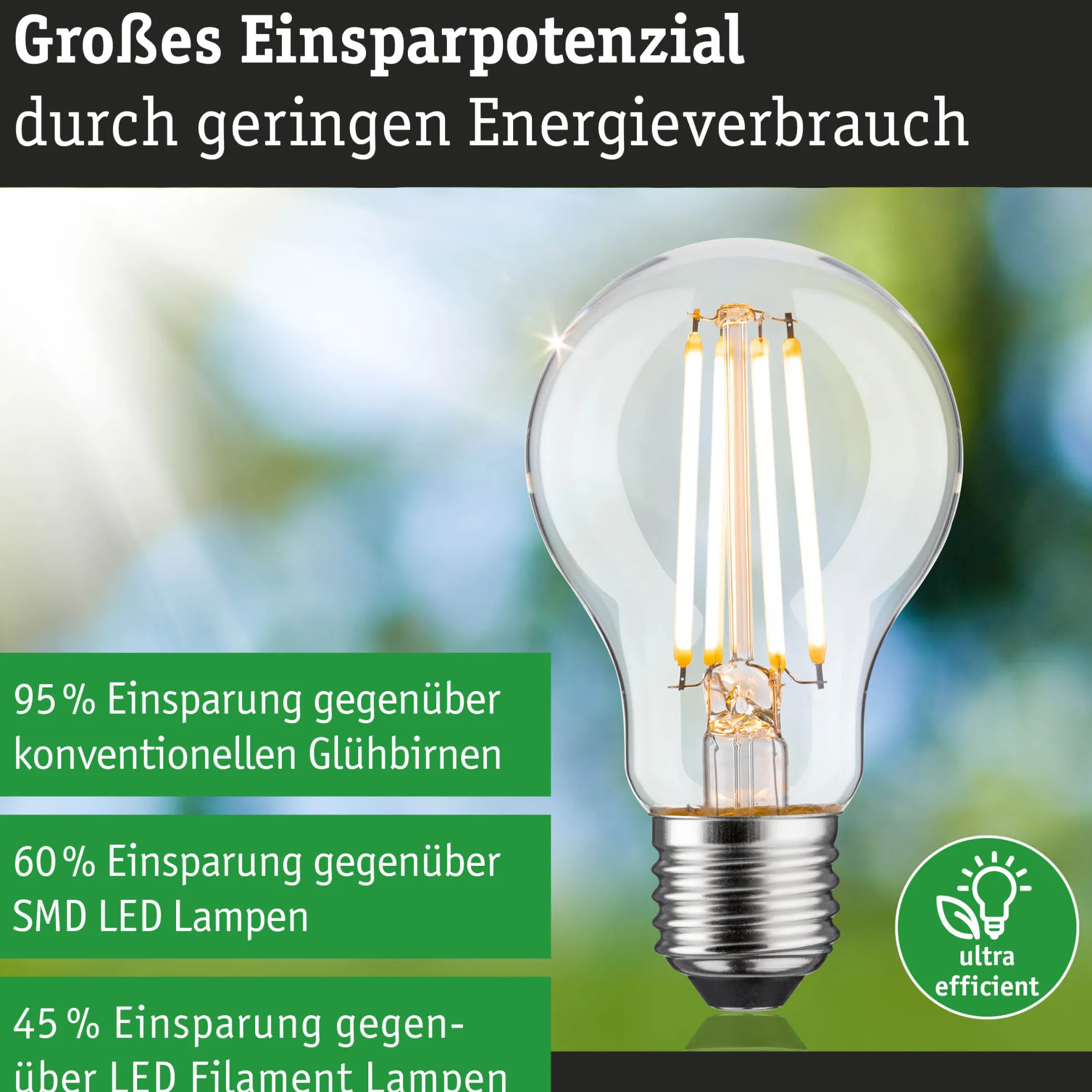 Efficient-Line Filament 230V - LED Birne Einzelleuchte