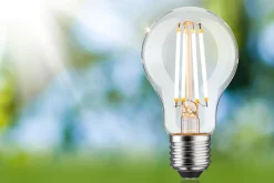 Efficient-Line Filament 230V - LED Birne Einzelleuchte