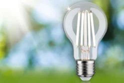 Efficient-Line Filament 230V - LED Birne Einzelleuchte