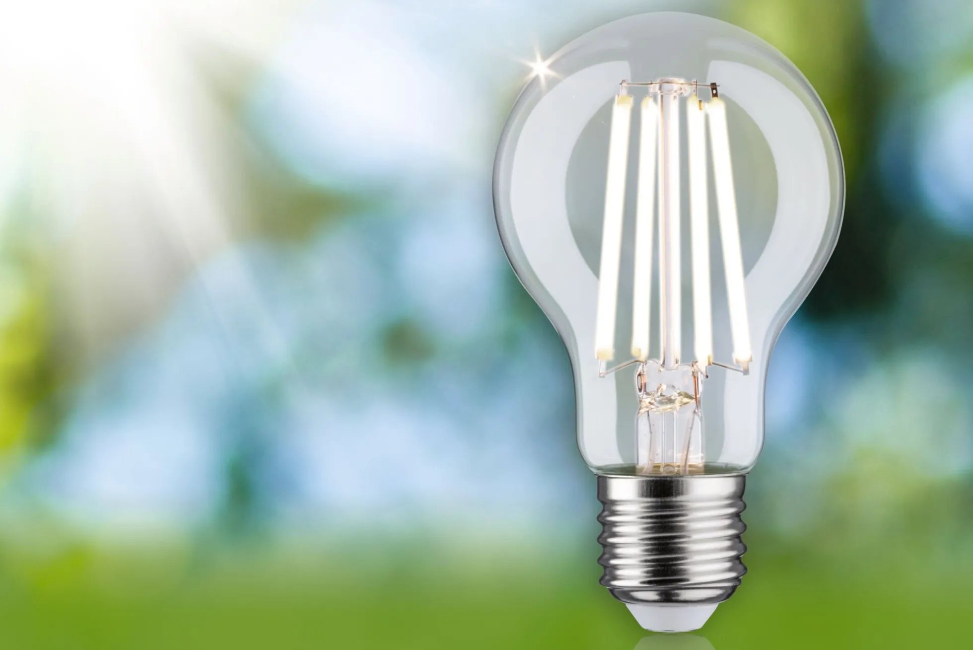 Efficient-Line Filament 230V - LED Birne Einzelleuchte