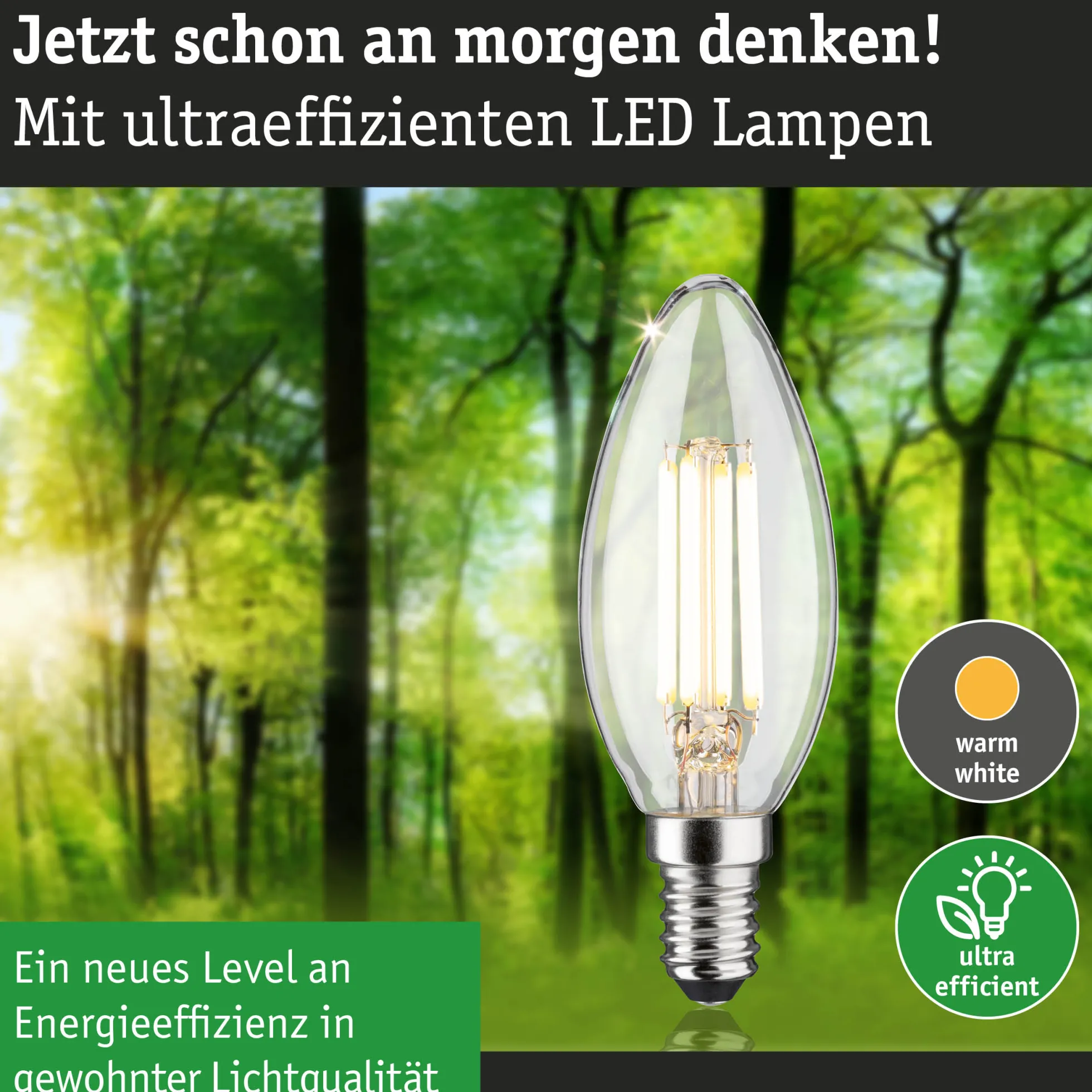 Efficient-Line Filament 230V - LED Kerze E14