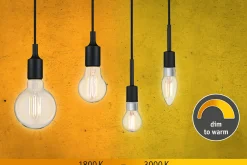 Filament 230V - LED Birne E27