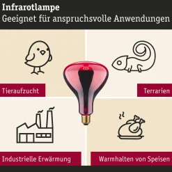Glühbirne - Infrarot