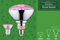 Grow Green Edition Filament 230V - LED Reflektor R63