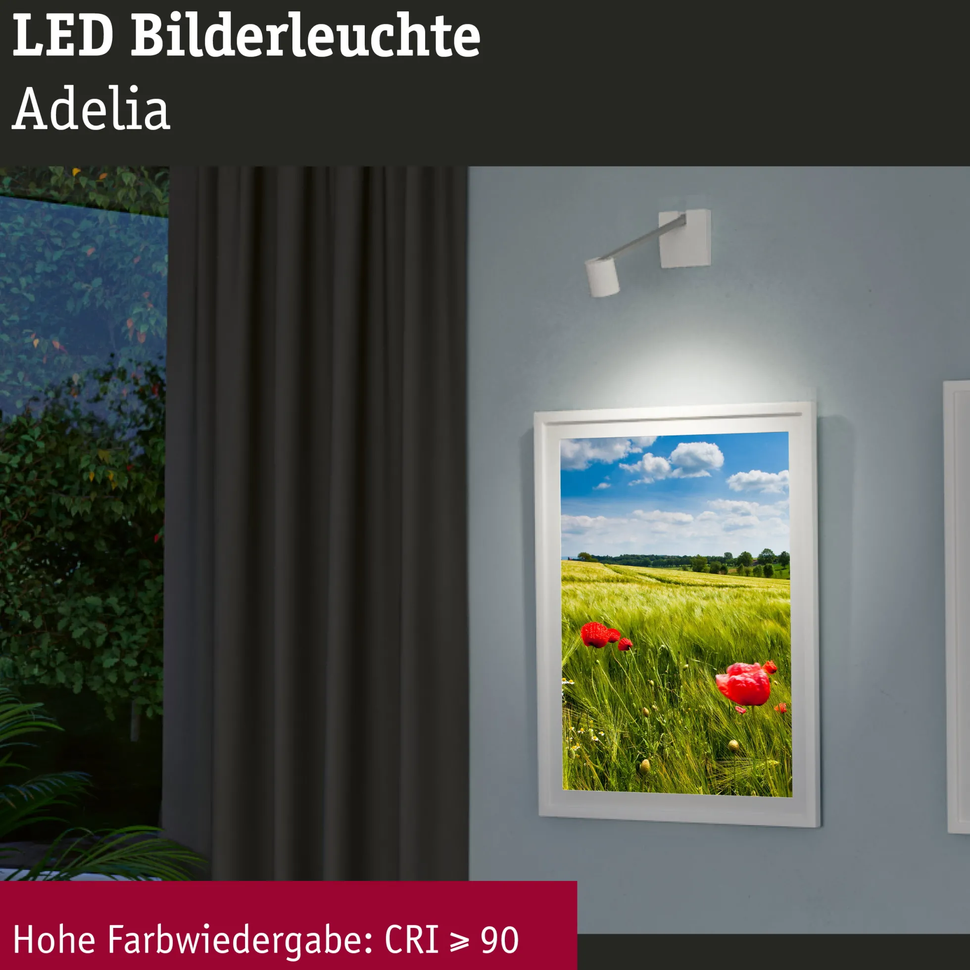 LED Bilderleuchte - Adelia