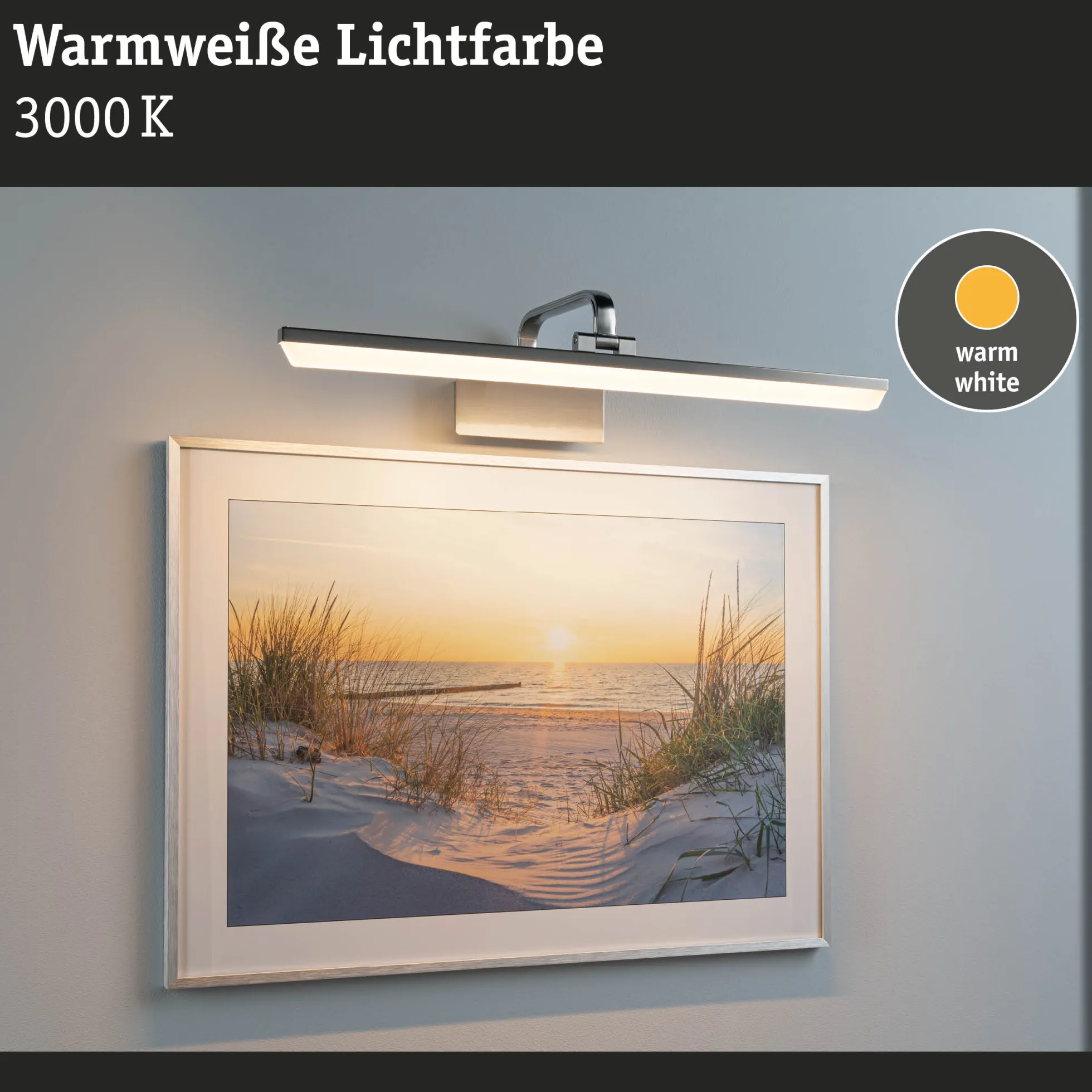 LED Bilderleuchte - Renan