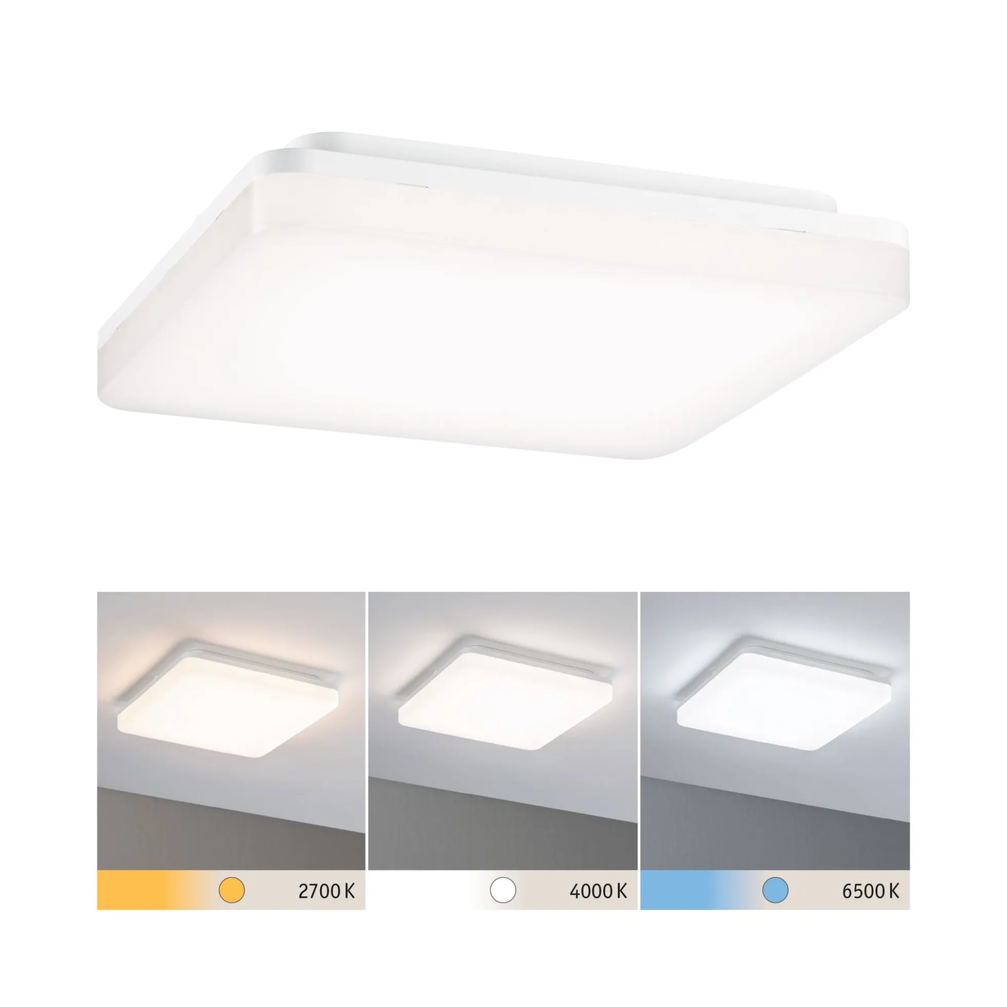 LED Panel - Cela