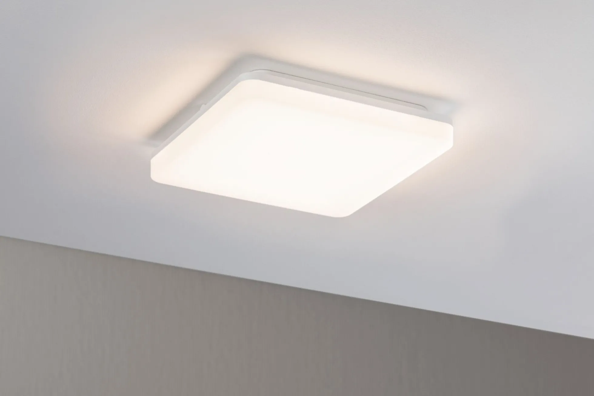 LED Panel - Cela