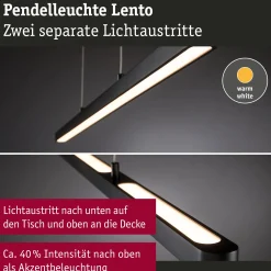 LED Pendelleuchte - Lento
