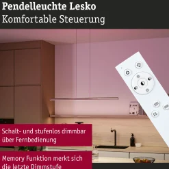 LED Pendelleuchte - Lesko