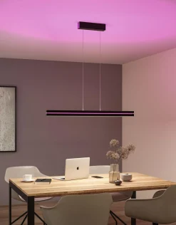 LED Pendelleuchte - Raiko
