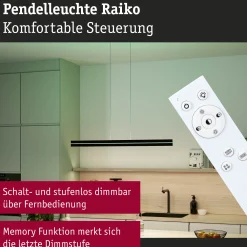 LED Pendelleuchte - Raiko