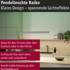 LED Pendelleuchte - Raiko