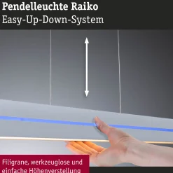 LED Pendelleuchte - Raiko