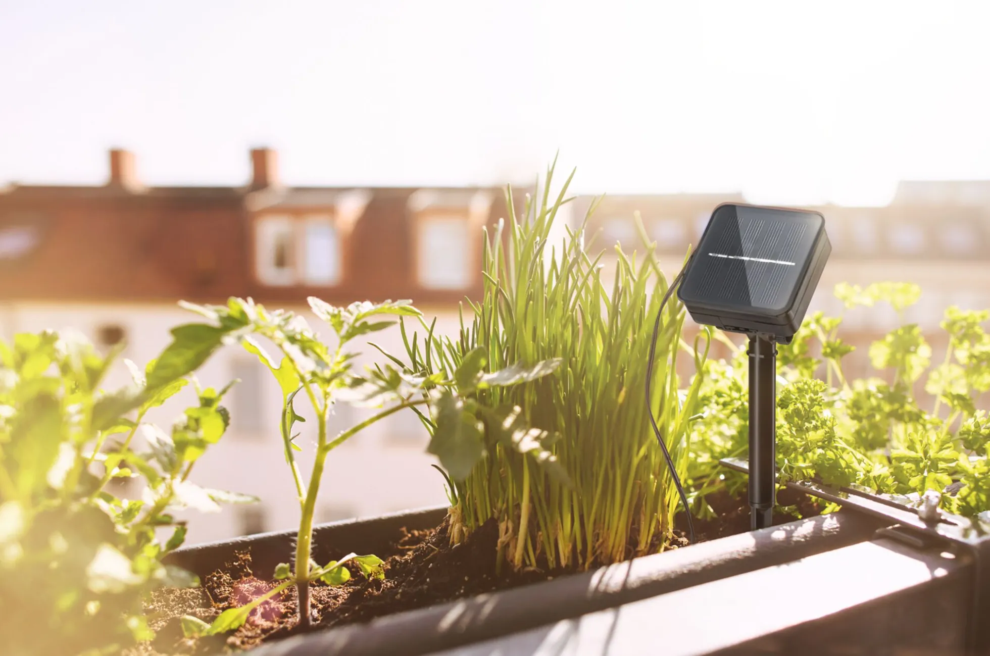 LED Stripe Solar - 3m inkl. Dämmerungssensor und Akku
