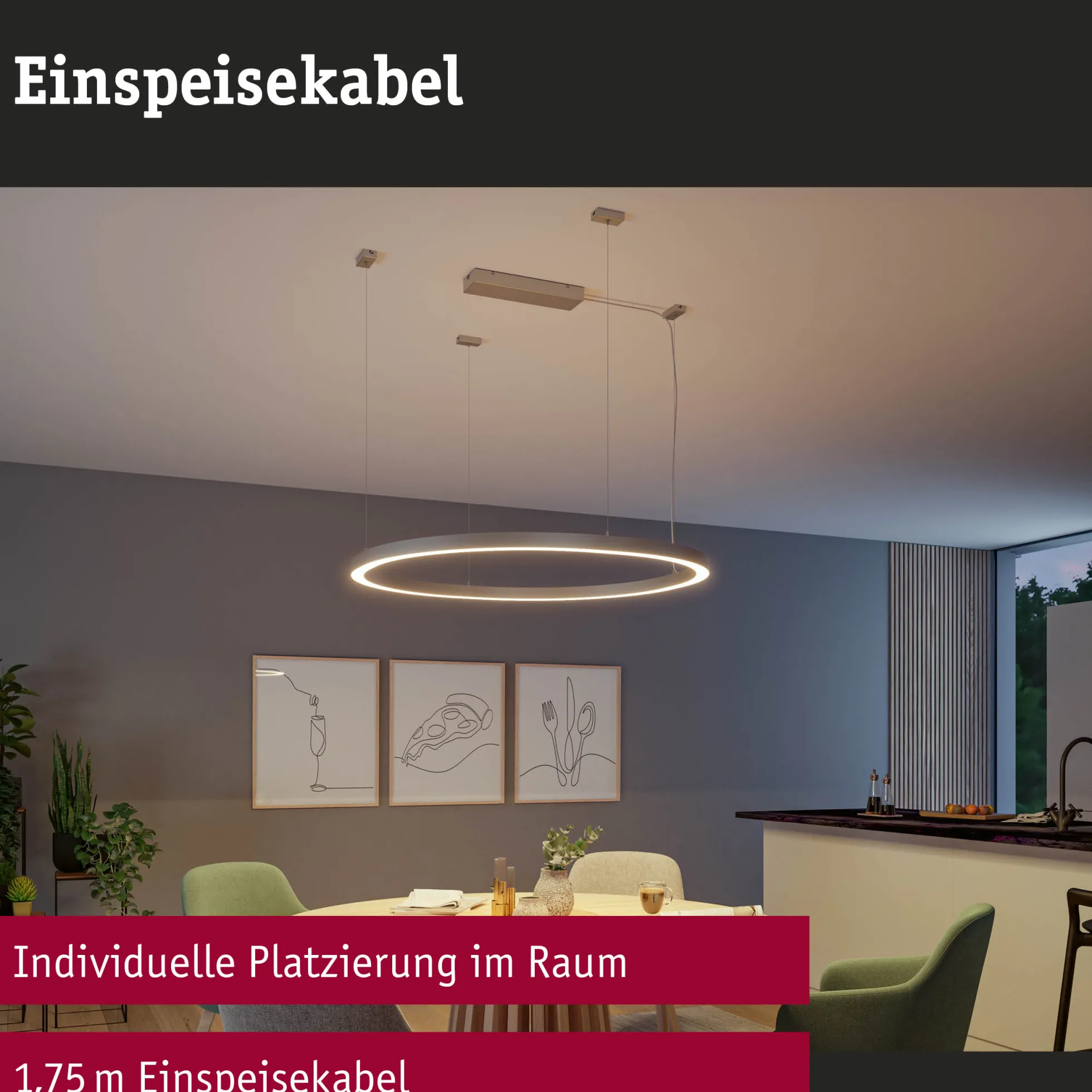Linion - Einspeisekabel