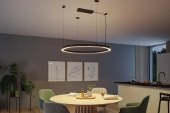 Linion Einspeisung - Power Box Zigbee