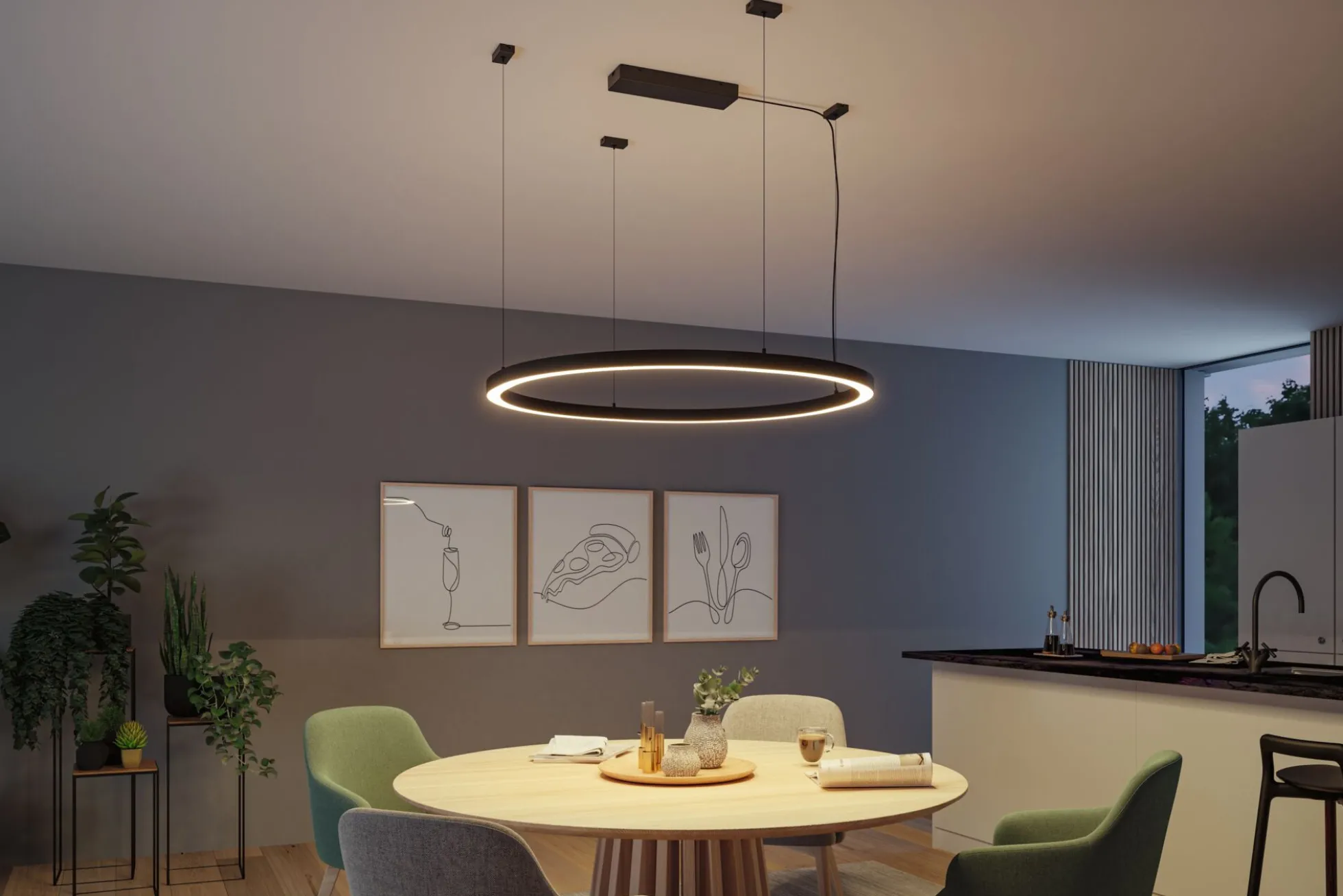 Linion Einspeisung - Power Box Zigbee