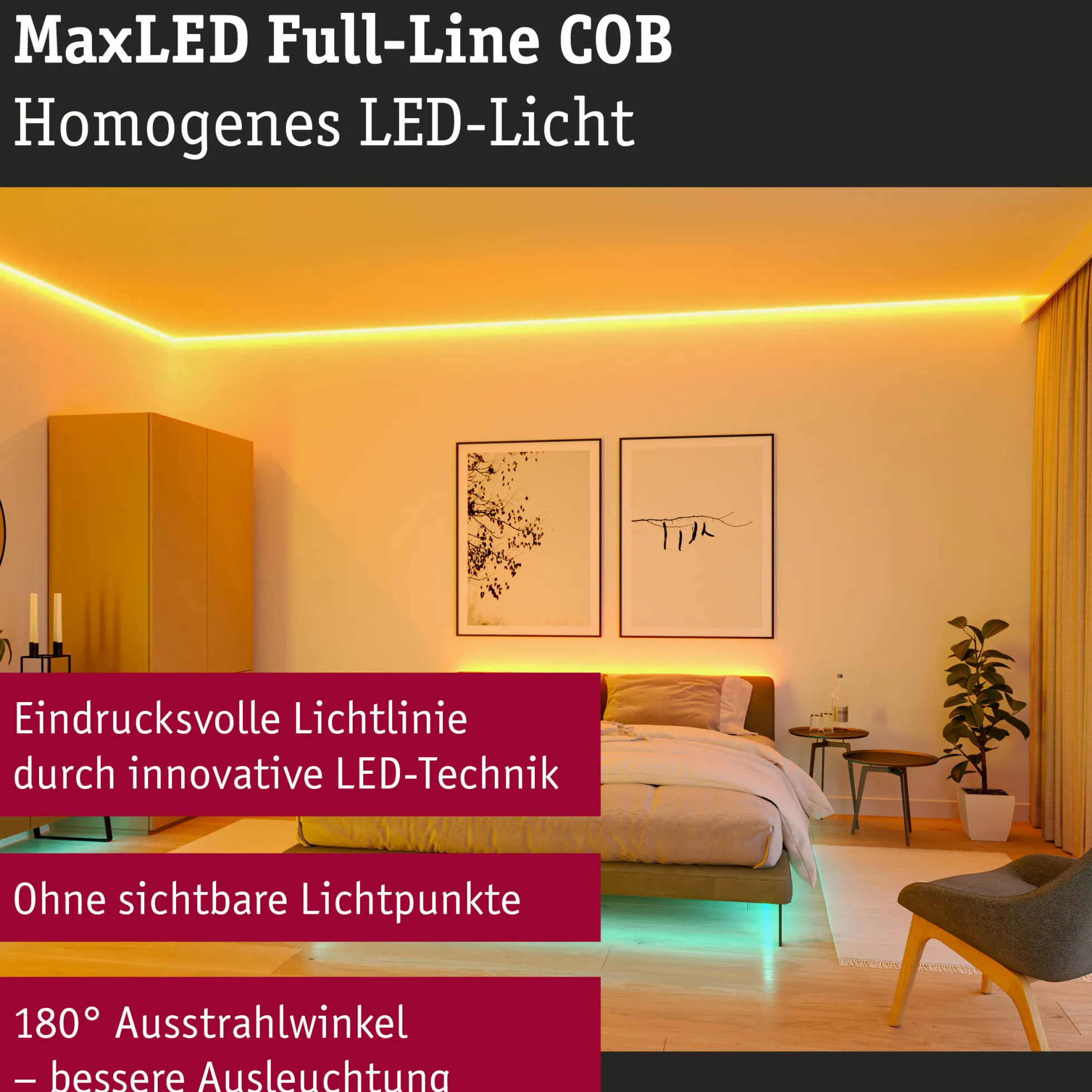 MaxLED 1000 LED Strip - Basisset 3m RGBW