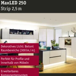 MaxLED 250 LED Strip - Erweiterung 2,5m 2700K