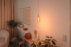Metallic Glow Standard 230V - LED Globe Spiral
