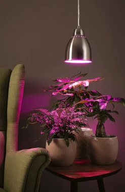 Neordic Set - Pendelleuchte Hilla + LED Reflektor E27