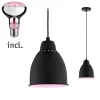 Neordic Set - Pendelleuchte Hilla + LED Reflektor E27